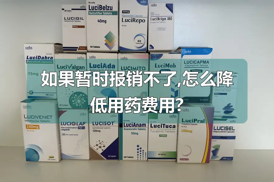 如果暂时报销不了,怎么降低用药费用?